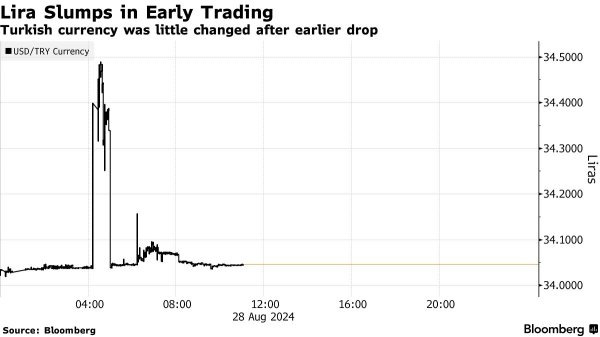 000749股票 土耳其里拉突发“闪崩”行情 但随后迅速平静