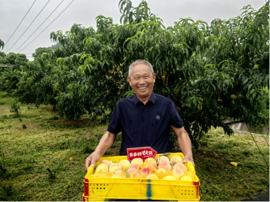 股票的资金博弈怎么看 修炼内功以行稳致远，拼多多宣布继续投入百亿资源扶持商家