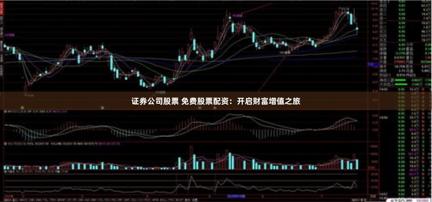 证券公司股票 免费股票配资：开启财富增值之旅