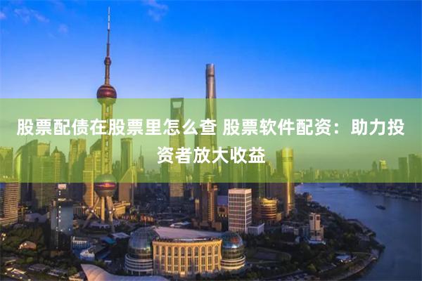 股票配债在股票里怎么查 股票软件配资:助力投资者放大收益