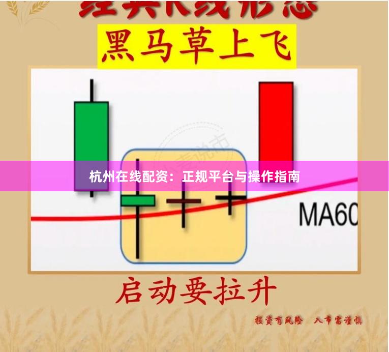 杭州在线配资：正规平台与操作指南